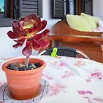 Nueva Apartment *
