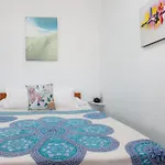 Nueva Apartment